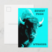 Turquoise Blue Buffalo Bull Bison Howdy van Briefkaart (Voorkant / Achterkant)