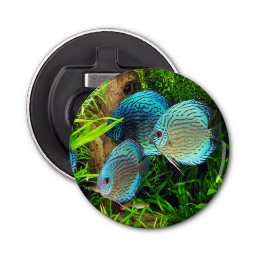 Turquoise Blue Discus Button Flesopener (Voorkant)