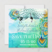 Turquoise Blue Green en Copper Peacock Feather Magnetische Uitnodiging (Voorkant)