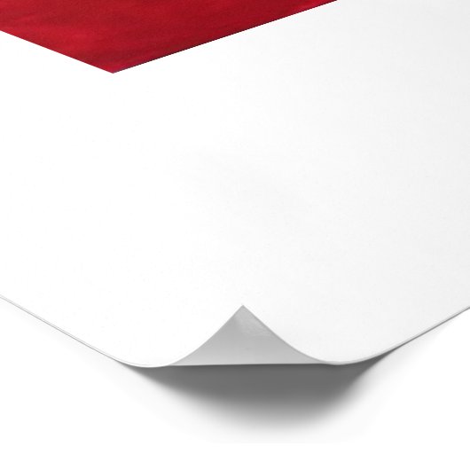 Turquoise Bowl Poster (Hoek)