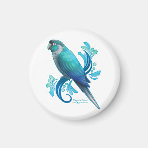 Turquoise Conure Magneet
