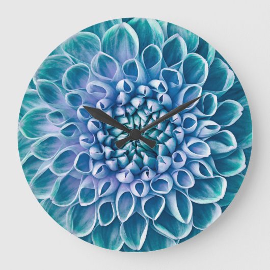 Turquoise Dahlia Bloem Macro achtergrond Grote Klok (Voorkant)