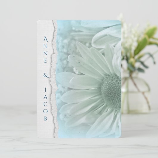 turquoise daisy macro op verscheurd randpapier kaart (Staand voorkant)