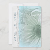 turquoise daisy macro op verscheurd randpapier kaart (Voorkant)