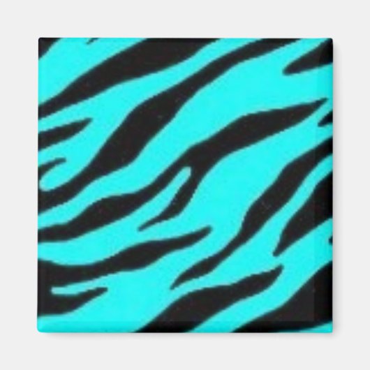 Turquoise en Black Zebra Magneet (Voorkant)