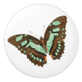 Turquoise en Brown Butterfly Keramische Knop (Voorkant)