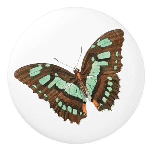 Turquoise en Brown Butterfly Keramische Knop (Voorkant)