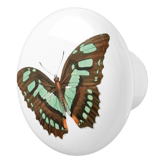 Turquoise en Brown Butterfly Keramische Knop (Rechts)