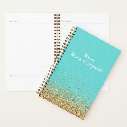 Turquoise en Gold Daily Planner (Display)