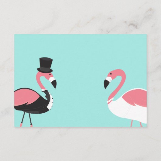 Turquoise Flamingo Details Informatiekaartje (Achterkant)