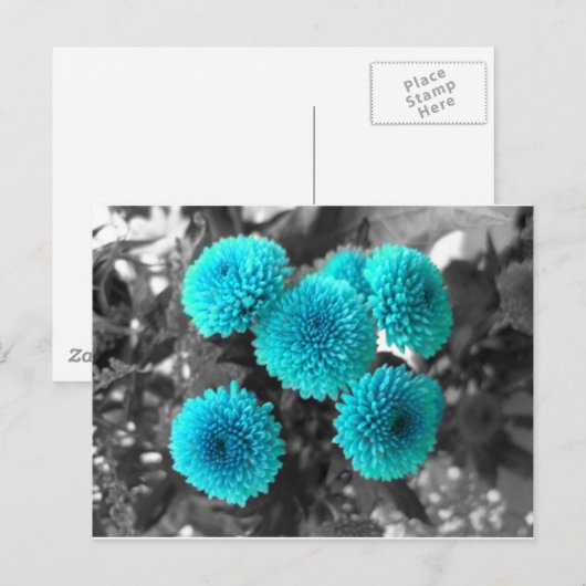 Turquoise Flowers Briefkaart (Voorkant / Achterkant)