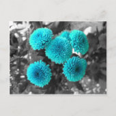 Turquoise Flowers Briefkaart (Voorkant)