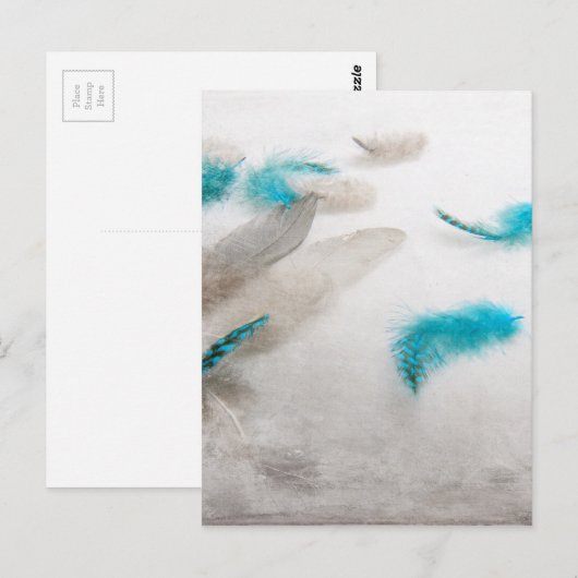 Turquoise Fluff Briefkaart (Voorkant / Achterkant)