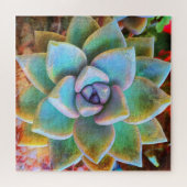 Turquoise Green Cactus Foto vet Close Up Square Legpuzzel (Horizontaal)