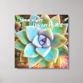 Turquoise Green Cactus Photo Bloom, waar gepland Canvas Afdruk (Voorkant)