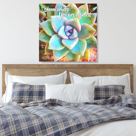 Turquoise Green Cactus Photo Bloom, waar gepland Canvas Afdruk (Insitu (Slaapkamer))