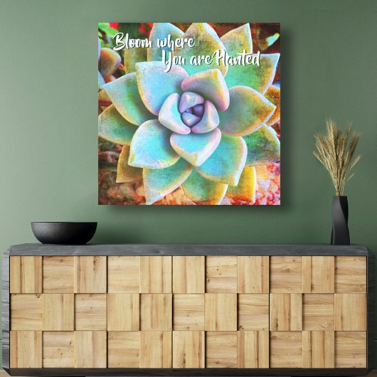 Turquoise Green Cactus Photo Bloom, waar gepland Canvas Afdruk