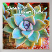 Turquoise Green Cactus Photo Bloom, waar gepland Poster (Voorkant)