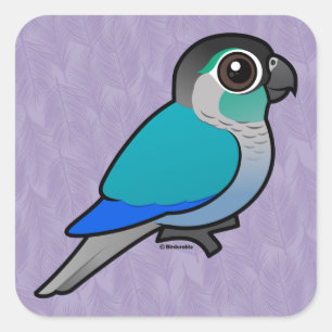 Turquoise Green-cheeked Conure Vierkante Sticker