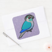 Turquoise Green-cheeked Conure Vierkante Sticker (Envelop)