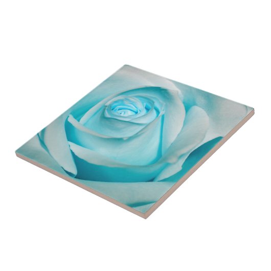 Turquoise Ice Roos Tegeltje (Zijkant)