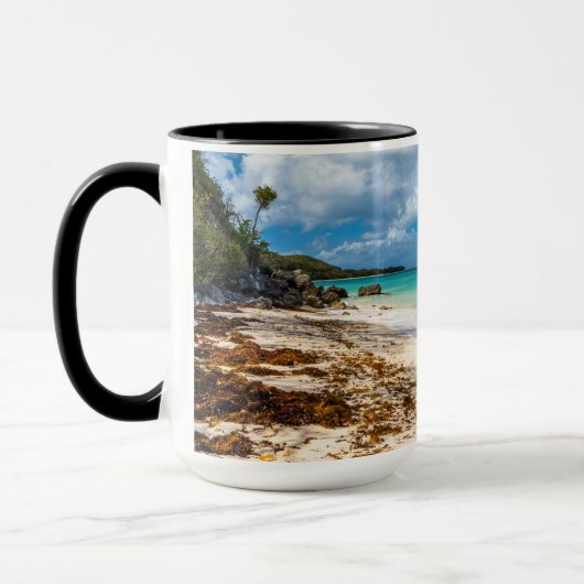 Turquoise Kust Uitzicht Anse Canot Caribbean Foto Mok (Links)