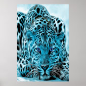 Turquoise leopard met blauwe ogen poster (Voorkant)