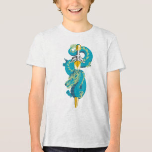 Turquoise Lucht Draak Embleem Tri-Blend Shirt