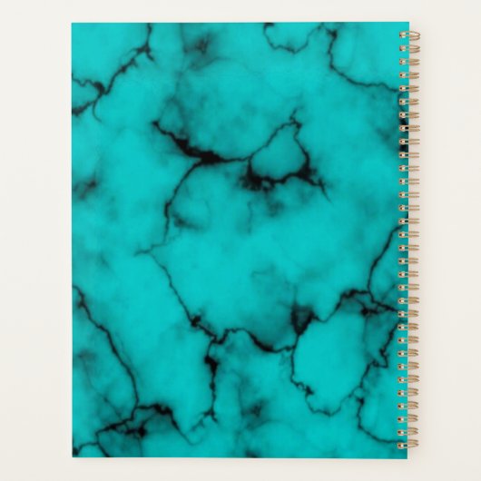 Turquoise Marble Sophisticated Planner (Achterkant)