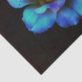 Turquoise N Gold Rainbow Roos Tissuepapier (Detail)