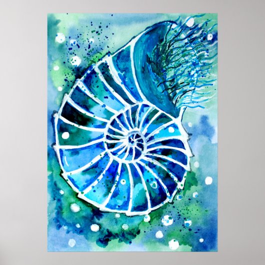 Turquoise Nautilus Poster (Voorkant)