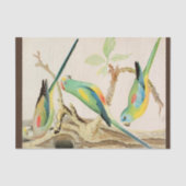 Turquoise Parakeet Tissuepapier (Voorkant)