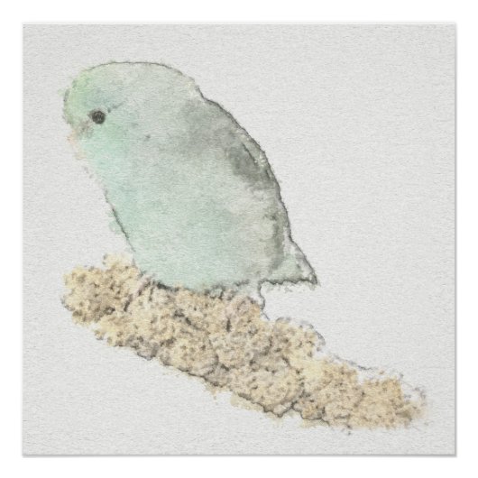 Turquoise Parrotlet over Millet Waterverf Perfect Poster (Voorkant)