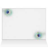 turquoise peace pauock Wedding Place Cards (Binnen Horizontaal (Boven))