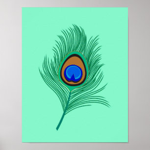 Turquoise Peacock Feather on Light Aqua Poster