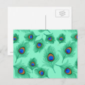 Turquoise Peacock Feathers on Light Aqua Briefkaart (Voorkant / Achterkant)