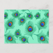 Turquoise Peacock Feathers on Light Aqua Briefkaart (Voorkant)
