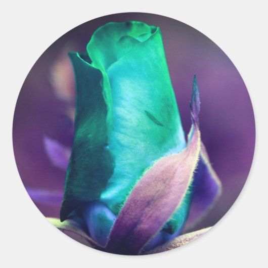 Turquoise Rosebud Flower Abstract Ronde Sticker (Voorkant)