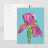 Turquoise roze irisbloem briefkaart (Voorkant / Achterkant)