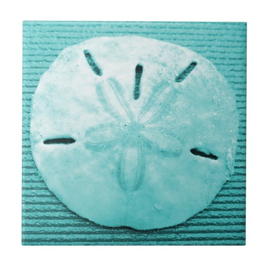 Turquoise Sand Dollar Tegeltje (Voorkant)
