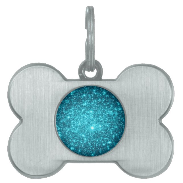 Turquoise Schittering Huisdieren Naamplaatje (voorkant)
