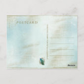 Turquoise Shabby Peacock - Briefkaart (Achterkant)