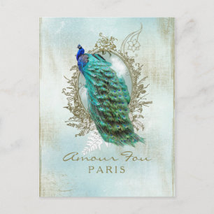 Turquoise Shabby Peacock - Briefkaart