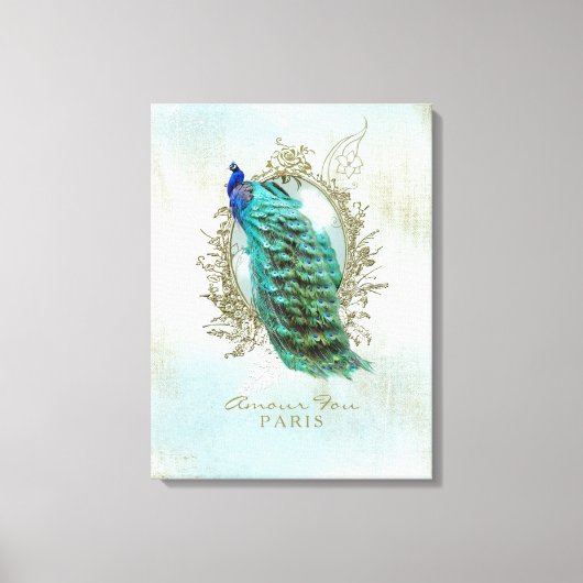 Turquoise Shabby Peacock - Gewatteerd Canvas Afdruk (Voorkant)