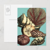 Turquoise Shell en Red Coral Collectie Briefkaart (Voorkant / Achterkant)