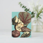 Turquoise Shell en Red Coral Collectie Briefkaart (Staand voorkant)