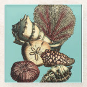 Turquoise Shell en Red Coral Collectie Glazen Onderzetter (Voorkant)