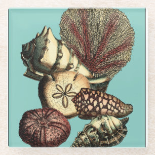 Turquoise Shell en Red Coral Collectie Glazen Onderzetter