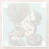 Turquoise Shell en Red Coral Collectie Glazen Onderzetter (Achterkant)