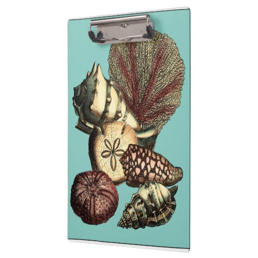 Turquoise Shell en Red Coral Collectie Klembord (Links)